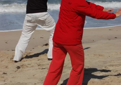Taijiquan: Drehen