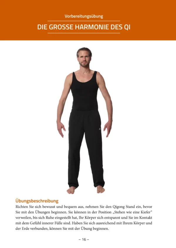Meridian Qigong – Bild 11