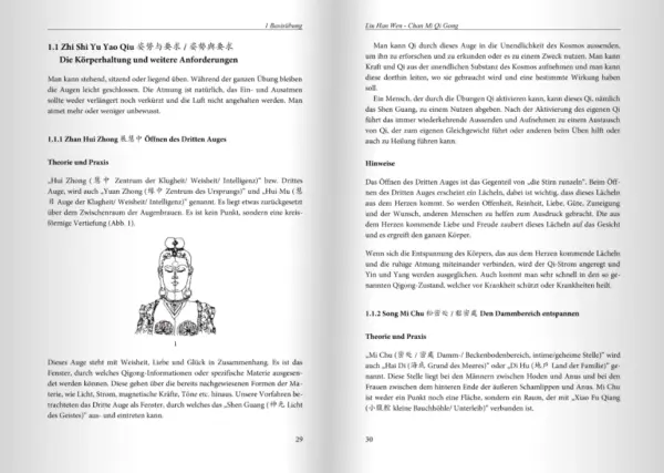 Chinesisches Chan Mi Qi Gong - Das ganze Buch – Bild 3